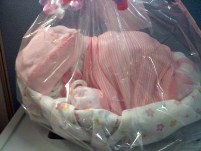 Diaper baby hot sale in a basket