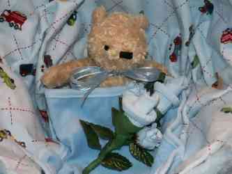 teddy bear in basket carriage