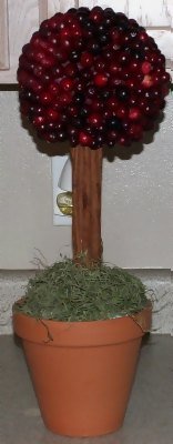 cranberry topiary for holiday season